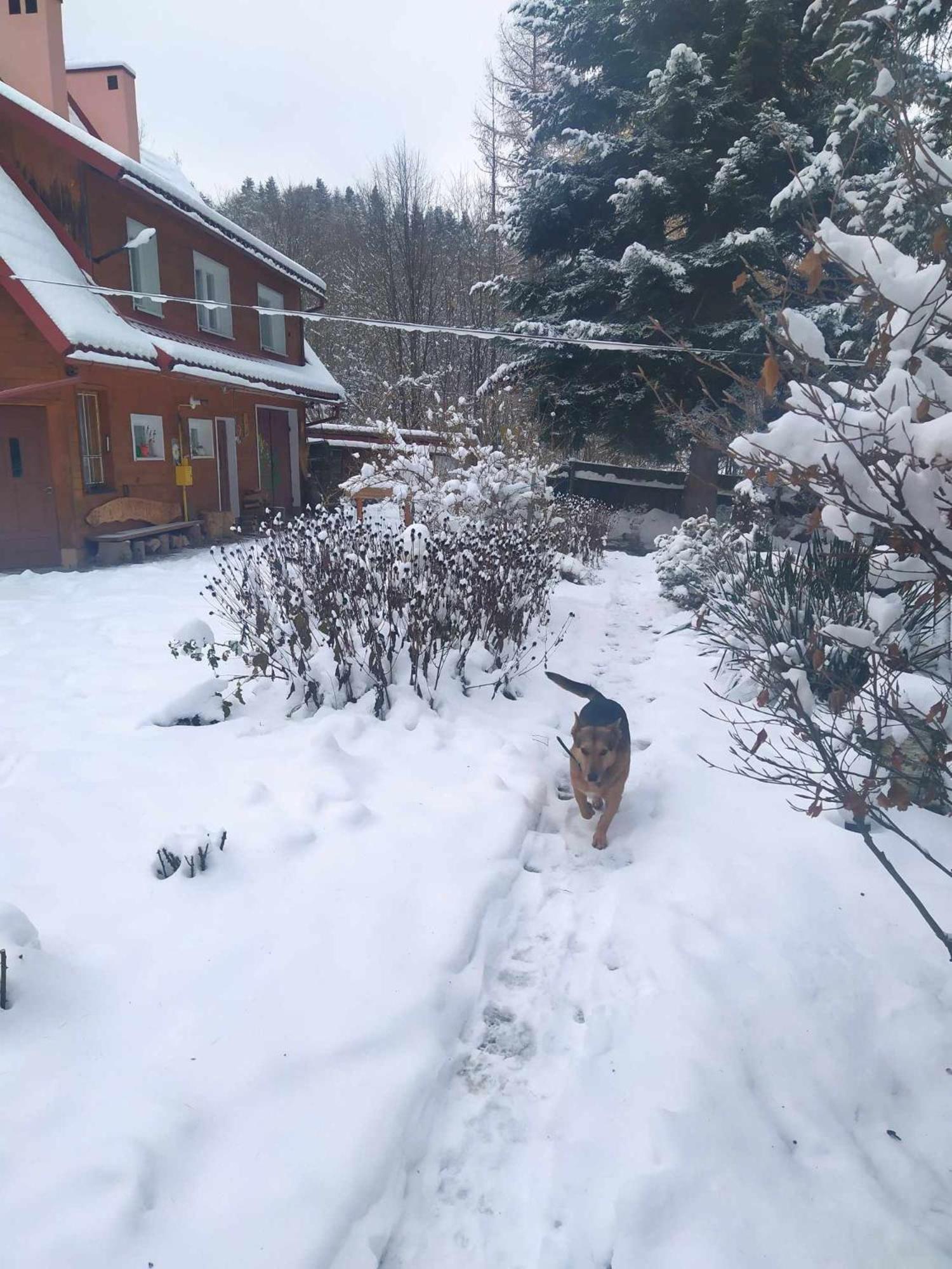 Agroturystyka U Psotki Kuzmina Bagian luar foto