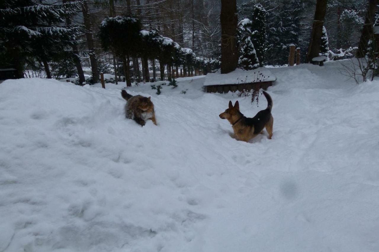Agroturystyka U Psotki Kuzmina Bagian luar foto